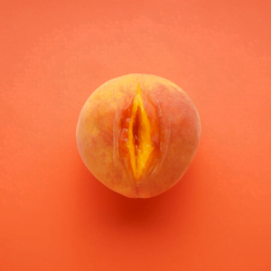 Vulva fruit